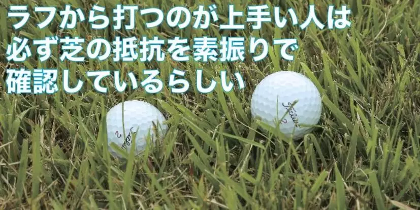 ラフ,ゴルフ,ボール