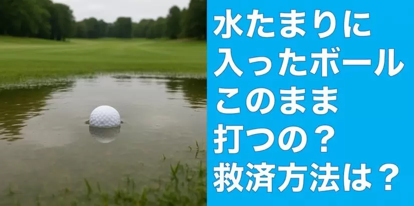 ゴルフ場,水たまり,ゴルフボール