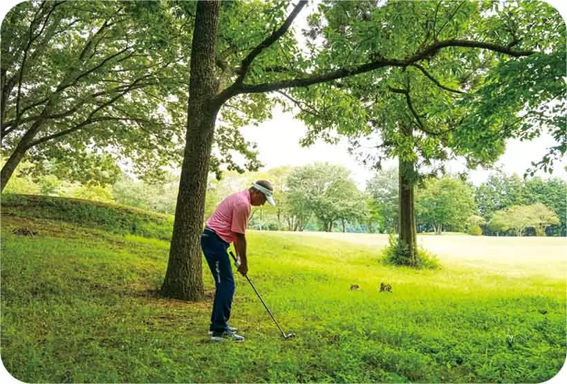 ボールの高さをイメージできると林からの脱出にも役立つ。