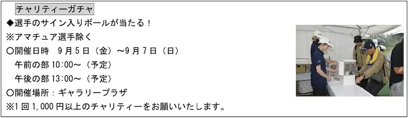 ゴルフ5レディス,アルペン