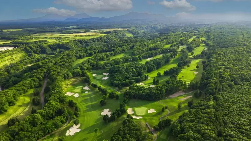 アマチュア大会,イベント