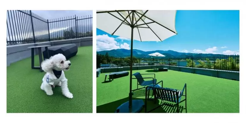 ゴルフ,ホテル,ゴルフ旅,エディットバイセブン,セブンバイセブン