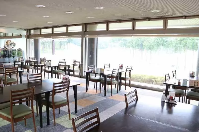 トーナメント,トーナメント体験,樋口久子