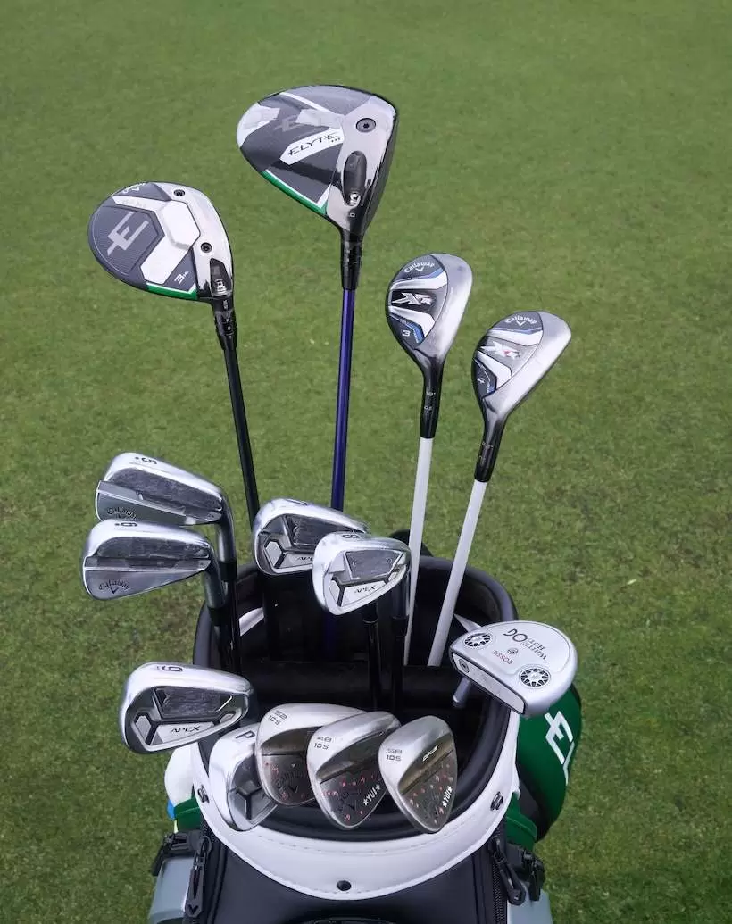 河本結,優勝,スタンレーレディス