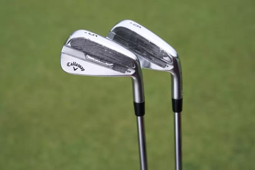 河本結,優勝,スタンレーレディス