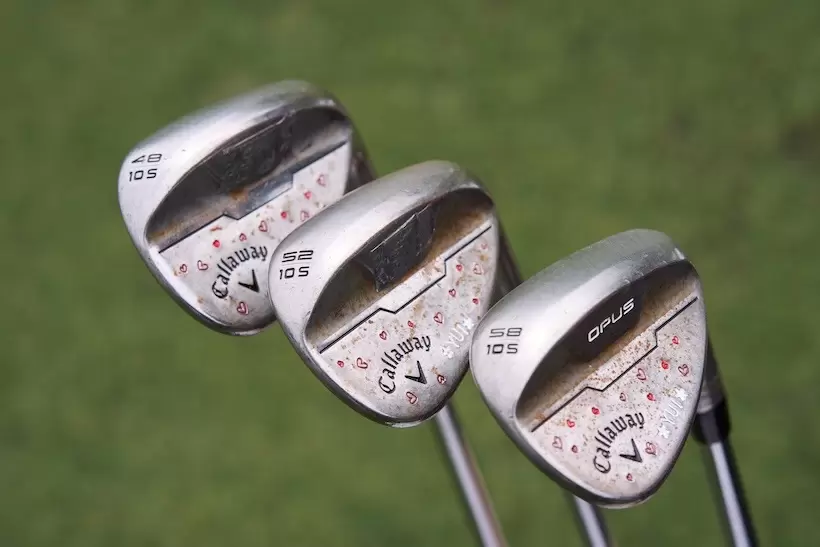 河本結,優勝,スタンレーレディス